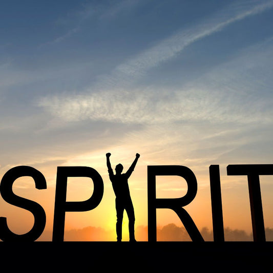 Why School Spirit Matters (and How to Build It)